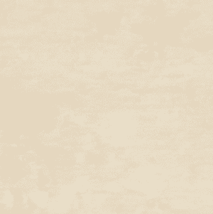 Mosa Terra Maestricht 211V avalon beige 60x60-0