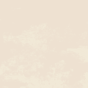 Mosa Terra Maestricht 262v licht grijsbeige 60x60-0